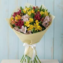 Букет цветов из:  Альстромерии в Раздольном Республика Крым