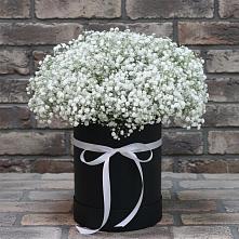 Цветочная композиция из Гипсофила в шляпной коробке #REPLACE_PRED# Раздольном Республика Крым