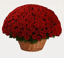 Премиум букет из: Розы в Раздольном Республика Крым
