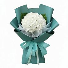 Букет цветов из:  Гортензия в Раздольном Республика Крым